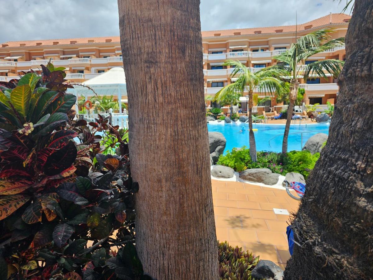 Tenerife Holidays Deluxe, Royal Garden, Las Americas Playa de las Américas Eksteriør billede